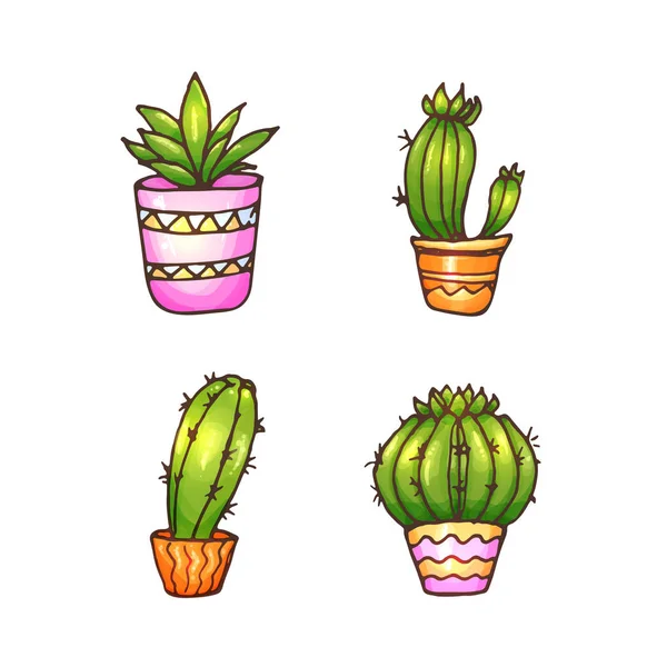 Cactus y suculentas ilustración — Vector de stock