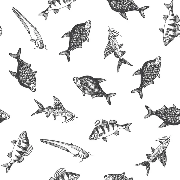 Patrón de peces. Esbozo de carpa. Ilustraciones vectoriales dibujadas a mano. Vector mar y océano criaturas para el diseño de menú de mariscos . — Archivo Imágenes Vectoriales