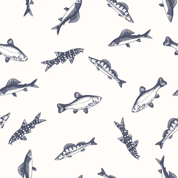 Patrón de peces. Esbozo de carpa. Ilustraciones vectoriales dibujadas a mano. Vector mar y océano criaturas para el diseño de menú de mariscos . — Archivo Imágenes Vectoriales