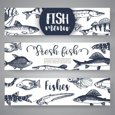 Balık sıralar ve türleri. El vektör çizimler çekilmiş. Gölü balık satırı sanat tarzı. Vektör deniz ve okyanus yaratıklar deniz ürünleri menü tasarımı için.