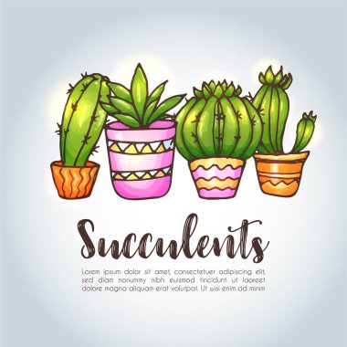 Kaktüs ve succulents illüstrasyon
