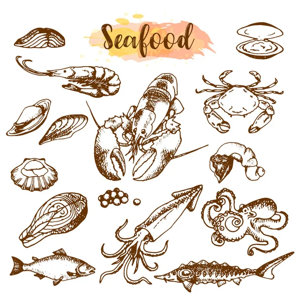 Ensemble de croquis de fruits de mer. Poisson, crevettes, crabe, homard, poulpe, mollusques graphiques isolés sur un fond blanc un ensemble. Illustration vectorielle art. Design gastronomique et restaurant — Image vectorielle