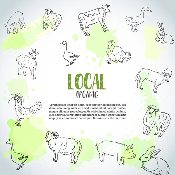 Handgezeichnete Nutztiere Hintergrund. Illustration der Landwirtschaft. Bauernhoftext. Handgezeichnete Gans, Hahn, Huhn — Stockvektor