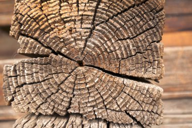 koyu renkli ahşap dokusu. doğal arka plan.