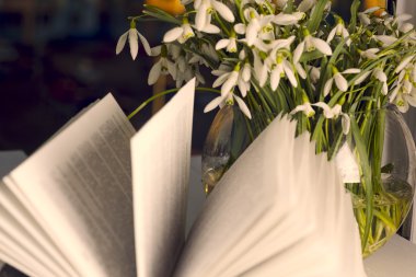 Ahşap tahtalar üzerine kitabı soyut ışık arkaplanı üzerinde aç.