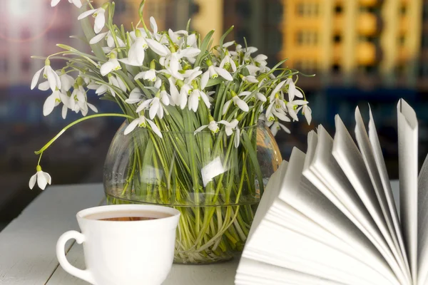 Flor en el libro delante de la ventana en la mañana — Foto de Stock