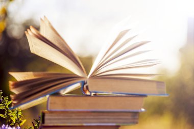 Doğal zemin üzerine kitaplar.