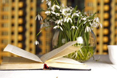 pencerenin önünde kitap sabah çiçek