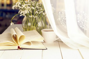 Pencere arka plan üzerine açık kitap ile beyaz Çiğdem
