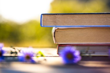 Doğal zemin üzerine kitaplar.