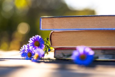 Doğal zemin üzerine kitaplar.