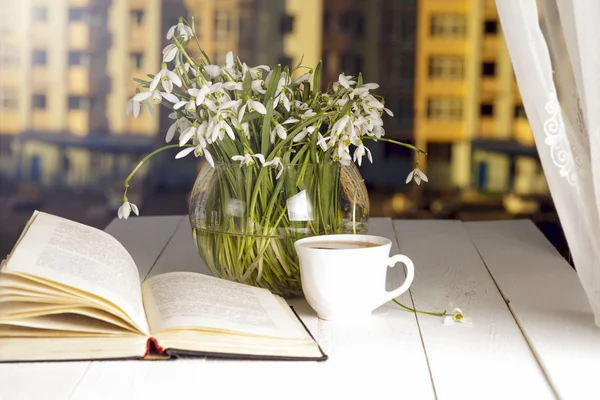 Blomma på boken framför fönstret på morgonen. Kopiera s — Stockfoto