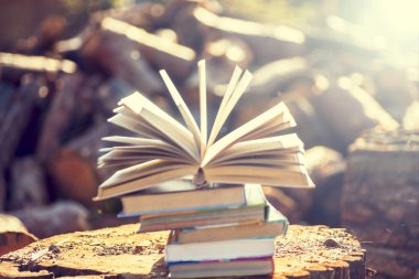 Doğal zemin üzerine kitaplar.