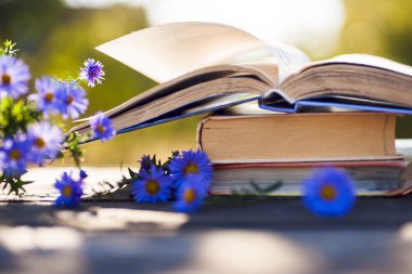 Doğal zemin üzerine kitaplar.