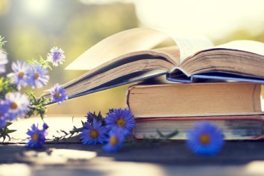 Doğal zemin üzerine kitaplar.