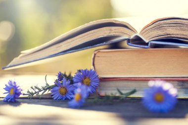 Doğal zemin üzerine kitaplar.