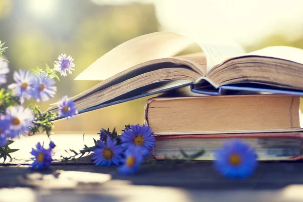 Doğal zemin üzerine kitaplar.