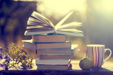 Doğal zemin üzerine kitaplar.