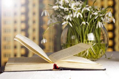 pencerenin önünde kitap sabah çiçek