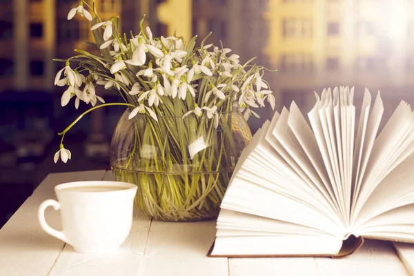 Flor en el libro delante de la ventana en la mañana — Foto de Stock