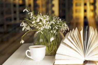 pencerenin önünde kitap sabah çiçek