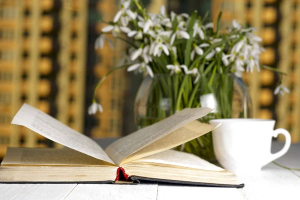 Flor en el libro delante de la ventana en la mañana — Foto de Stock