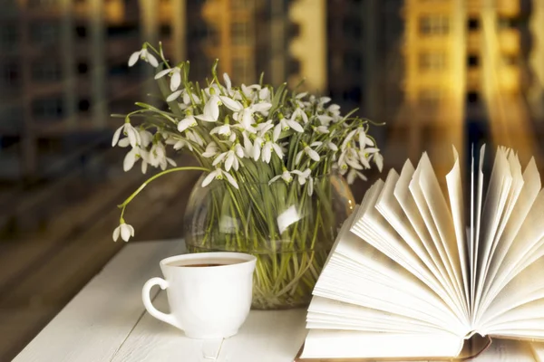 Blomst på boken foran vinduet om morgenen – stockfoto