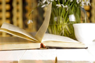 pencerenin önünde kitap sabah çiçek