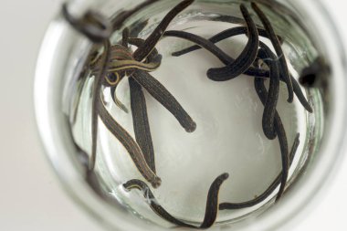 Hirudotherapy. Tıbbi sülük