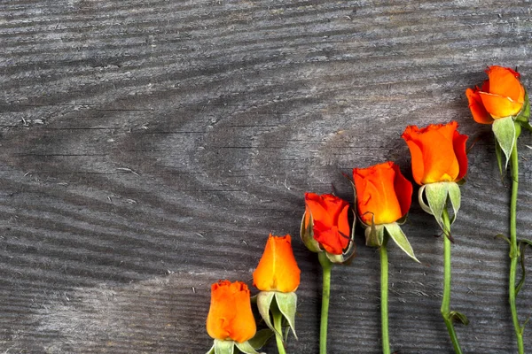 Червоні троянди на дерев'яній дошці, День святого Валентина. — стокове фото