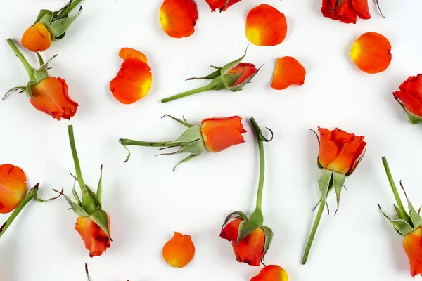 doğal Sevgiliye arka plan