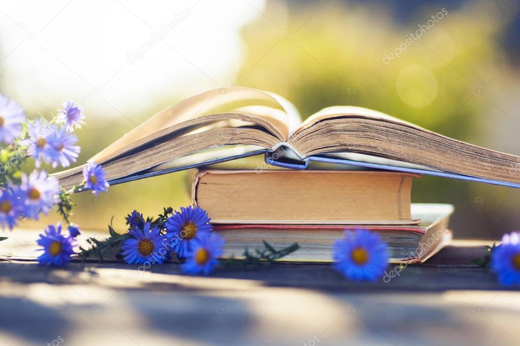 books on natural background.