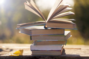 Doğal zemin üzerine kitaplar.