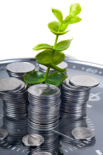 Monedas con planta y reloj, aisladas sobre fondo blanco . — Foto de Stock