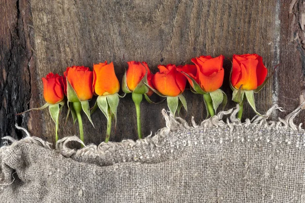 Red roses on wooden board, Valentines Day background — Stock Photo, Image