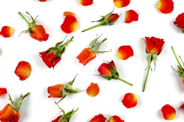 doğal Sevgiliye arka plan