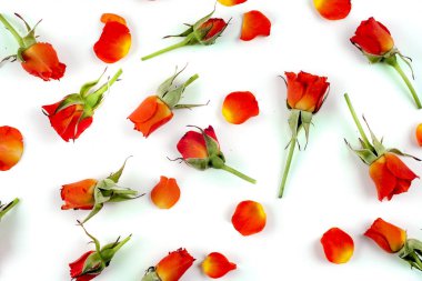 doğal Sevgiliye arka plan