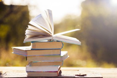 Doğal zemin üzerine kitaplar.