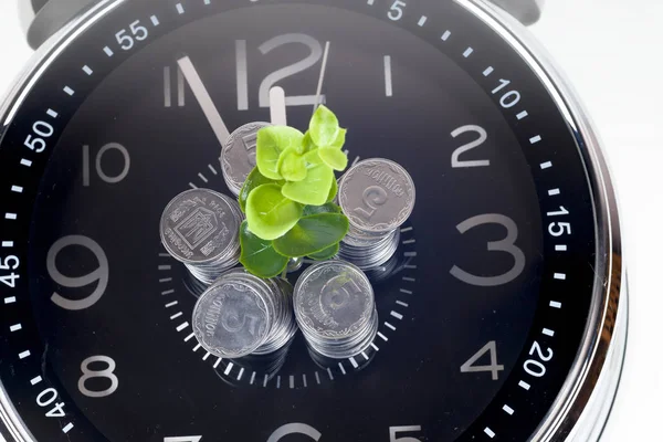 Монети з рослиною і годинником, ізольовані на білому тлі . — стокове фото