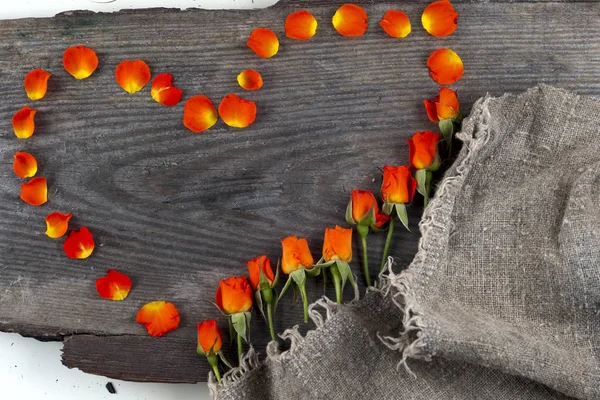 Roses rouges sur planche de bois, fond Saint Valentin — Photo