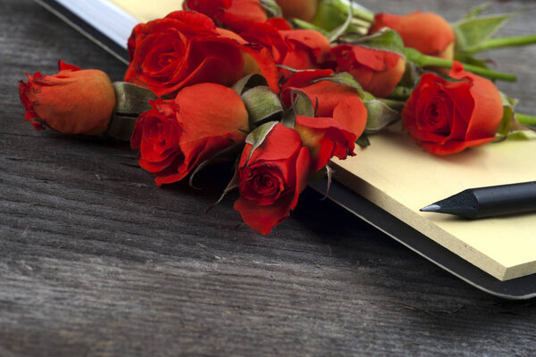 Красная роза на блокноте и карандаше
