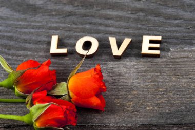 Masa lambası açık kitap.