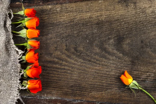 木制木板上的红玫瑰，情人节背景 — 图库照片