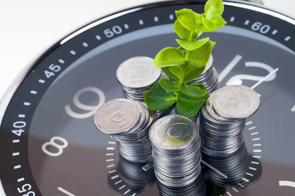 coins with plant and clock, isolated on white background.