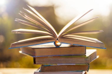 Bir daire içinde parlak renkli ciltli kitapların Üstten Görünüm.