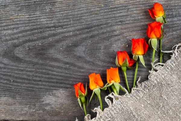 Red roses on wooden board, Valentines Day background — Stock Photo, Image