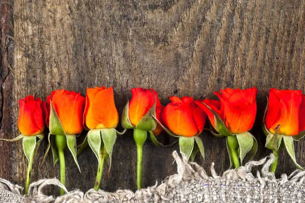 Rosas vermelhas na placa de madeira, fundo do Dia dos Namorados — Fotografia de Stock