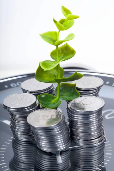 Monedas con planta y reloj, aisladas sobre fondo blanco . — Foto de Stock