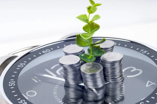 coins with plant and clock, isolated on white background.