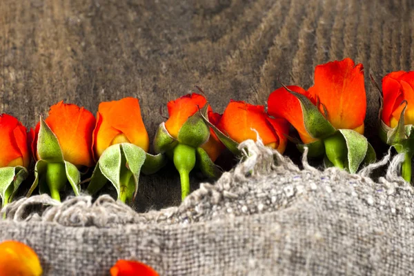 Red roses on wooden board, Valentines Day background. — Stock Photo, Image